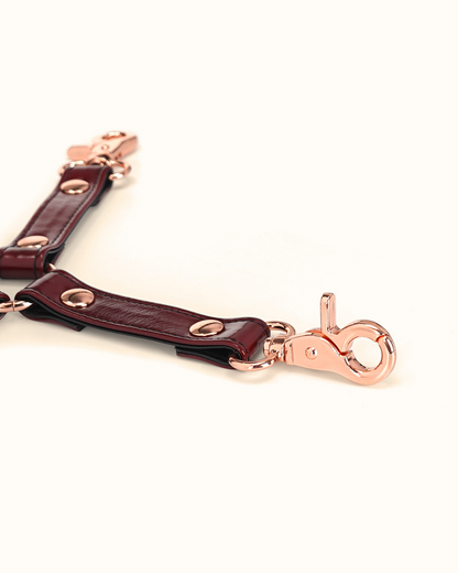 Arnés Hogtie