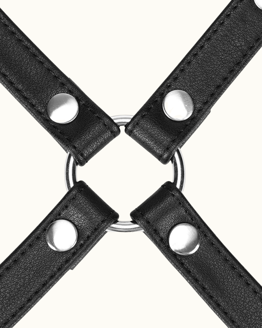 Arnés Hogtie