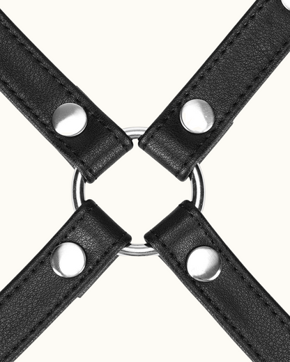 Arnés Hogtie